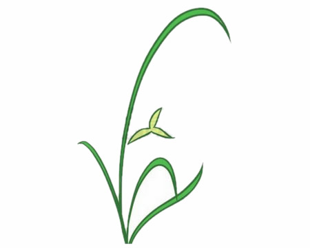 简单的兰花怎么画(兰花怎么画简笔)