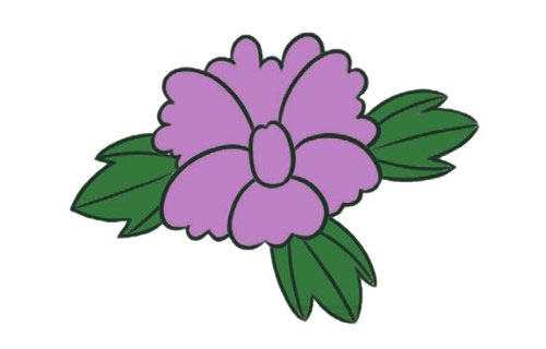 带颜色的牡丹花简笔画怎么画？(牡丹花彩色画)
