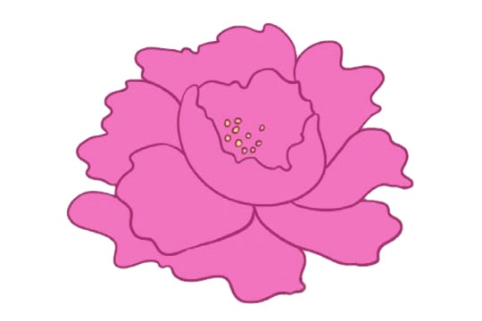 一大朵牡丹花简笔画带颜色(简笔画牡丹花的画法与教程)