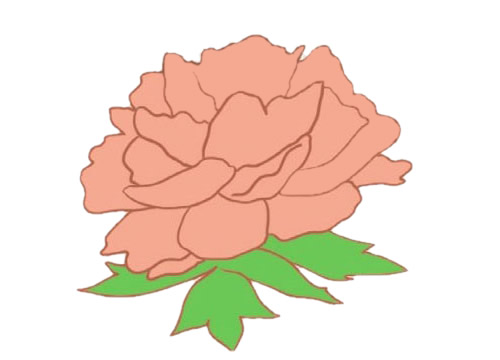 简单漂亮的牡丹花简笔画(简单漂亮的牡丹花图片)