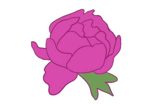 牡丹花怎么画简单又好看(牡丹花怎么画简单又漂亮 儿童画)