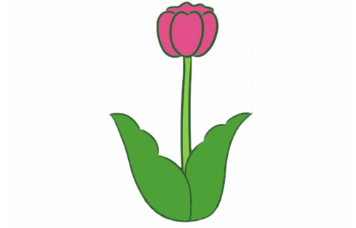 带颜色的郁金香简笔画怎么画？(郁金香带颜色的简笔画)
