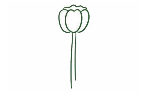 带颜色的郁金香简笔画怎么画? 带颜色的郁金香简笔画怎么画?