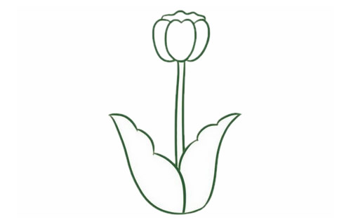 带颜色的郁金香简笔画怎么画? 带颜色的郁金香简笔画怎么画?