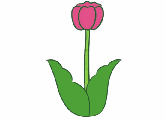 带颜色的郁金香简笔画怎么画? 带颜色的郁金香简笔画怎么画?