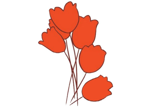 涂色的郁金香简笔画(有画出过程的)