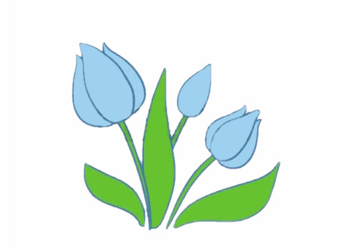 关于郁金香的简笔画(郁金香的简笔画图片大全大图)