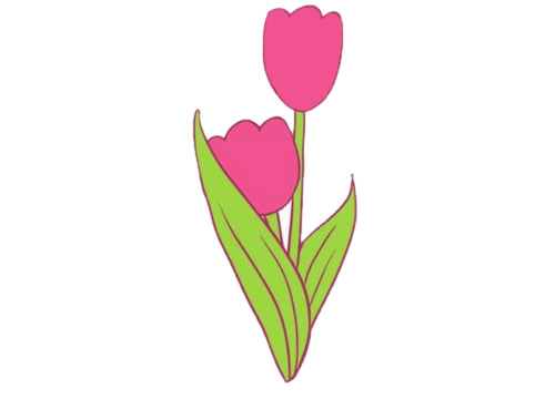 郁金香怎么画简单又好看(郁金香怎么画简单好看(简笔画))