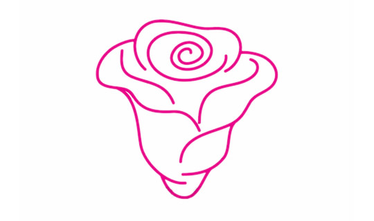 玫瑰花的花朵简笔画教程(玫瑰花的简笔画. 简单漂亮)