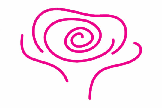 玫瑰花的花朵简笔画教程 玫瑰花的花朵简笔画教程