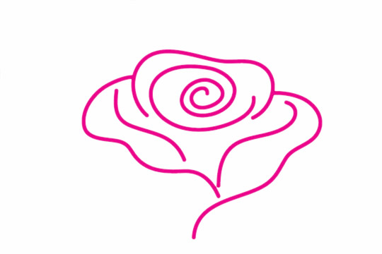 玫瑰花的花朵简笔画教程 玫瑰花的花朵简笔画教程