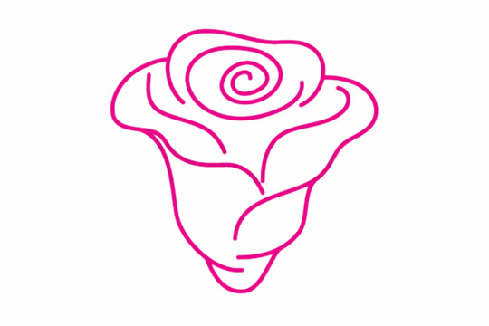 玫瑰花的花朵简笔画教程 玫瑰花的花朵简笔画教程