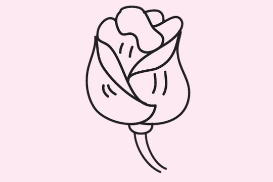 玫瑰花的简单画法(玫瑰花的简单画法儿童)