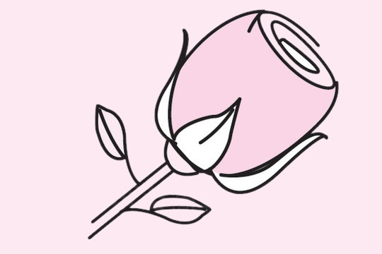 关于玫瑰花的简笔画(关于玫瑰花的简笔画怎么画)