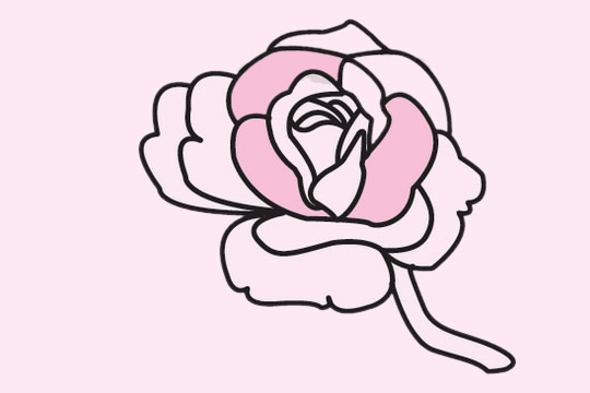 3款关于玫瑰花的简笔画(关于玫瑰花的唯美名字)