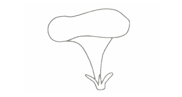 牵牛花简笔画的画法步骤