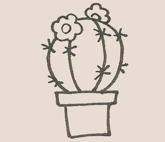仙人球花简笔画步骤教程 仙人球花简笔画步骤教程