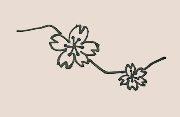 树枝上的桃花简笔画教程
