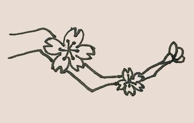 树枝上的桃花简笔画教程