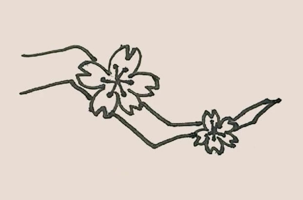 树枝上的桃花简笔画教程