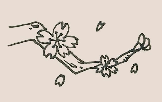 树枝上的桃花简笔画教程