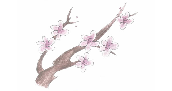 带颜色的梅花简笔画怎么画？(带颜色的梅花简笔画大全)