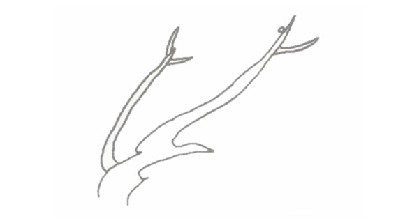 带颜色的梅花简笔画怎么画? 带颜色的梅花简笔画怎么画?