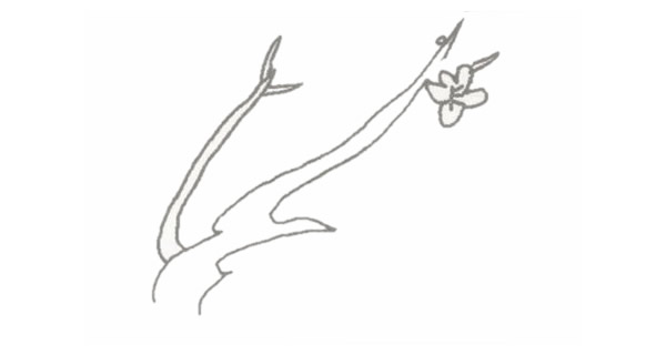 带颜色的梅花简笔画怎么画? 带颜色的梅花简笔画怎么画?