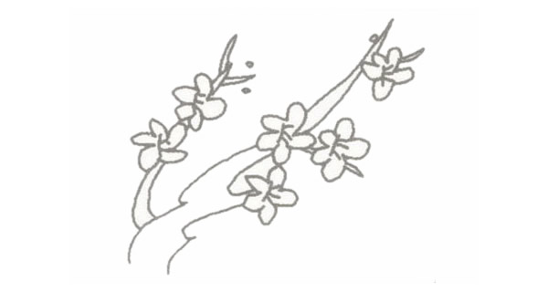 带颜色的梅花简笔画怎么画? 带颜色的梅花简笔画怎么画?