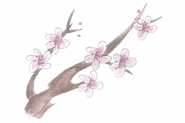 带颜色的梅花简笔画怎么画? 带颜色的梅花简笔画怎么画?
