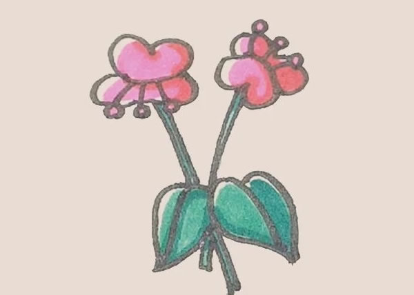 涂色的​​​​​​​蝴蝶兰简笔画步骤