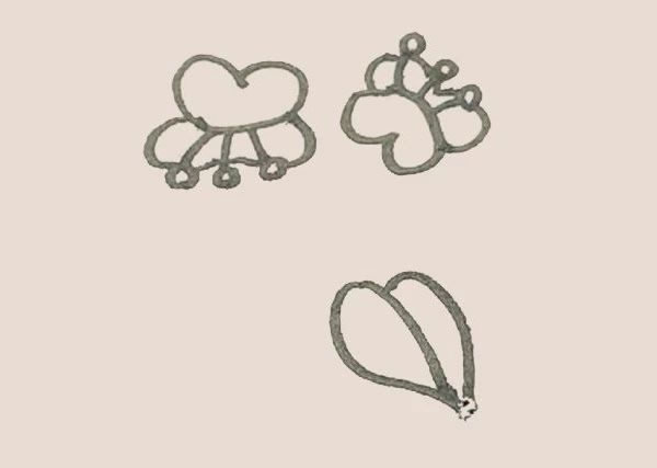 涂色的蝴蝶兰简笔画步骤 涂色的蝴蝶兰简笔画步骤