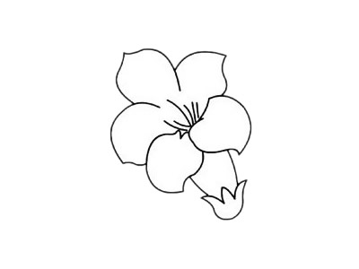 杜鹃花简笔画简单画法步骤 杜鹃花简笔画简单画法步骤