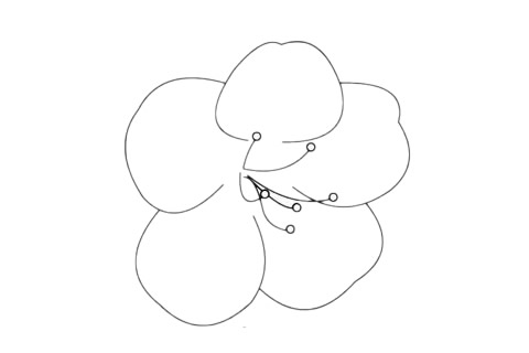 杜鹃花的花朵简笔画(杜鹃花的花朵简笔画怎么画)