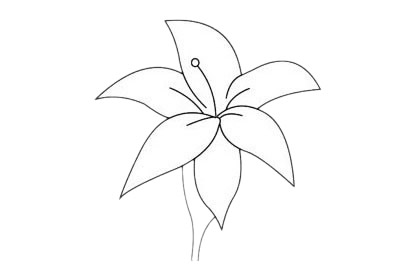 三款杜鹃花的简笔画(杜鹃花简笔画图片大全大图)