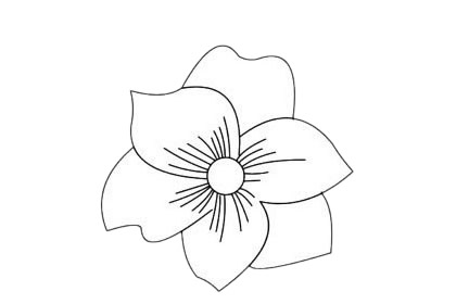 三款杜鹃花的简笔画