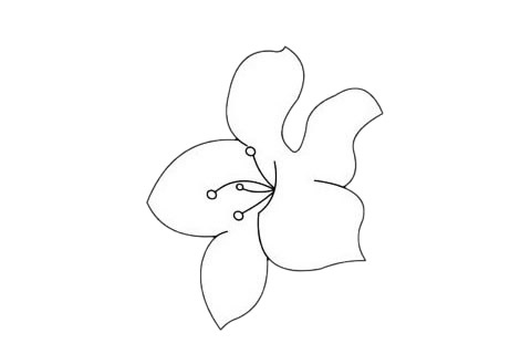 三款杜鹃花的简笔画