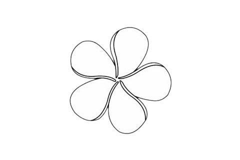 鸡蛋花简笔画步骤教程(鸡蛋花的画法简笔画图片)