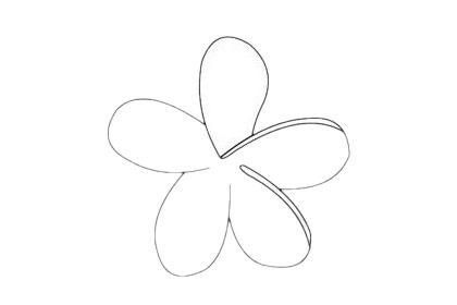 简单的鸡蛋花怎么画(简单的鸡蛋花怎么画好看)