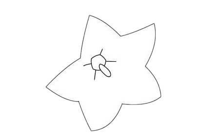 四款关于桔梗花的简笔画(桔梗花的小知识)