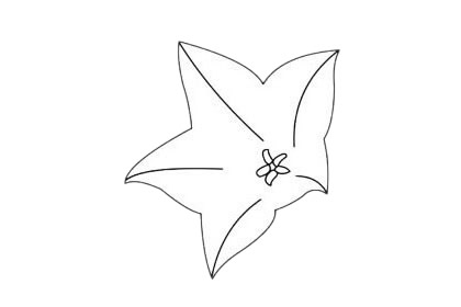 四款关于桔梗花的简笔画