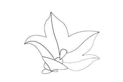 四款关于桔梗花的简笔画