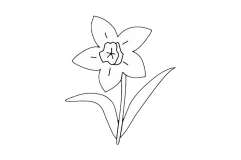 水仙花简笔画画法步骤(水仙花简笔画画法图片大全)