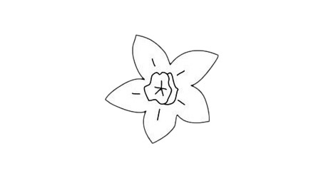 水仙花简笔画画法步骤 水仙花简笔画画法步骤