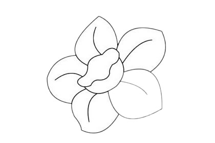 水仙花的花朵简笔画(水仙花花朵简笔画)