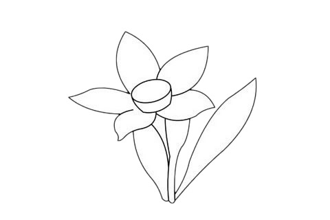 超级简单的水仙花简笔画(超级简单的水仙花怎么画)