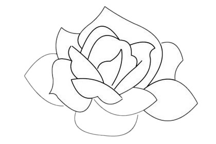一朵月季花的简笔画(一朵月季花的简笔画)