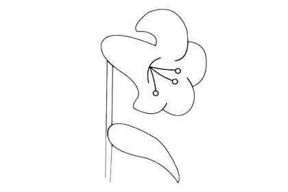 3款关于百合花的简笔画