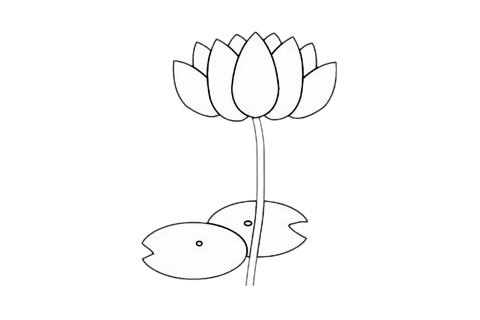 儿童学画荷花简笔画的画法(儿童学画荷花简笔画大全)