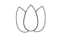 儿童学画荷花简笔画的画法
